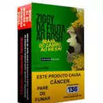 ZIGGY NOVA DA COPA GOIABA