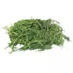 Romeritos