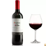 Casillero Del Diabo