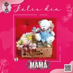 Box peluche2