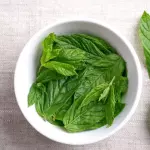Aromática hierbas