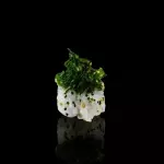 URAMAKI COUVE CRISPY 8 PEÇAS