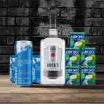 COMBO GIN ROCKS SECO COM REDBULL