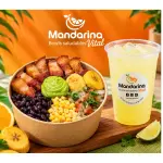 Porky Bowl Mediano + Limonada