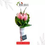 Bouquet en Tulipanes