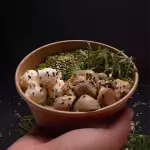 Gohan Champiñón
