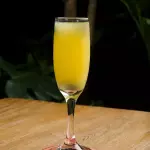 MIMOSA CLÁSICA
