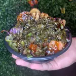 Monte seu Poke Meiji (NEW)