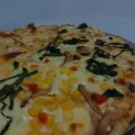 VEGETARIANA