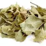 BOLDO (PCT 200g) FOLHAS