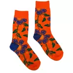 Flores Azul e Laranja
