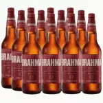🇧🇷 BRAHMA DUPLO MALTE 600ml