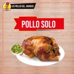 Pollo solo