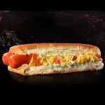 Dog Casa