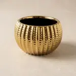 BOLW 1736-40