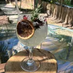 GIN TÔNICA