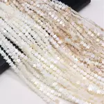 Concha natural en forma de estrellas