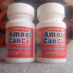 AMOXICAN CAN-CAT. 30 tab