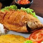 CACHAMA
