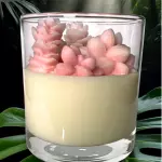 Vela Terrario Cactus Rosa