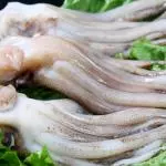 ARAÑITAS  鱿鱼仔