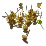 Postes para aretes dorados