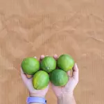Limão taiti (500g)