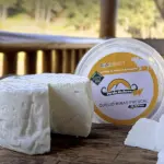 MINAS FRESCAL DE BUFALA