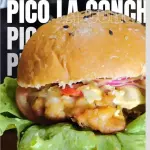 PICO LA CONCHA