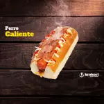 PERRO TRADICIONAL CON TOCINETA