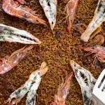 Paella Marisco