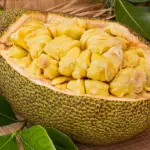 Suco de Jaca