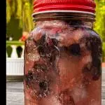 Caipifruta com vodka importada