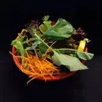 SALADA