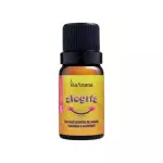 Essência Alegria Via Aroma 10ml