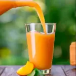 Jugo Digestivo
