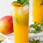 Mojito Mango Maracuya (Ron)