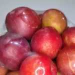 Ciruela x Bandeja