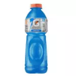 Gatorade Blue Berry 500ml