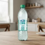 H2O