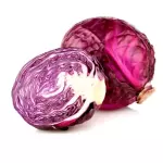 REPOLHO ROXO