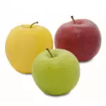 Maçã colorida /verde/vermelh