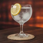 Gin Tonic