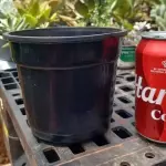 Maceta negra