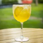 TROPICAL GIN