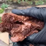 Ovomaltine