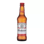 BUDWEISER 330ML