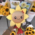 Girasol NO AUDIO.