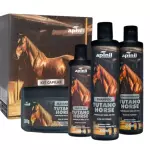 KIT CAPILAR TUTANO HORSE