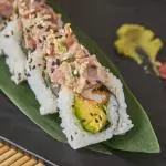 Thunnus